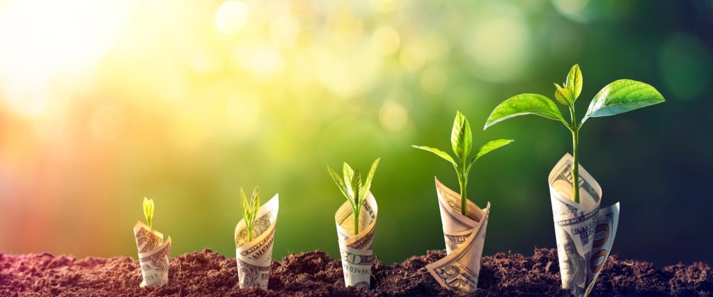 Attracting and Stewarding Donor Advised Fund Holders